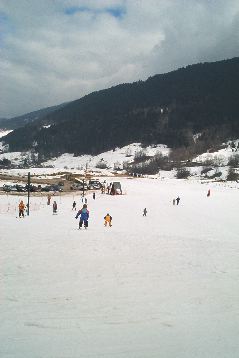 IM001118.JPG