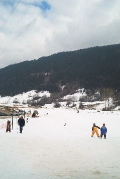 IM001121.JPG