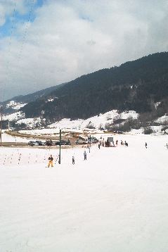 IM001124.JPG