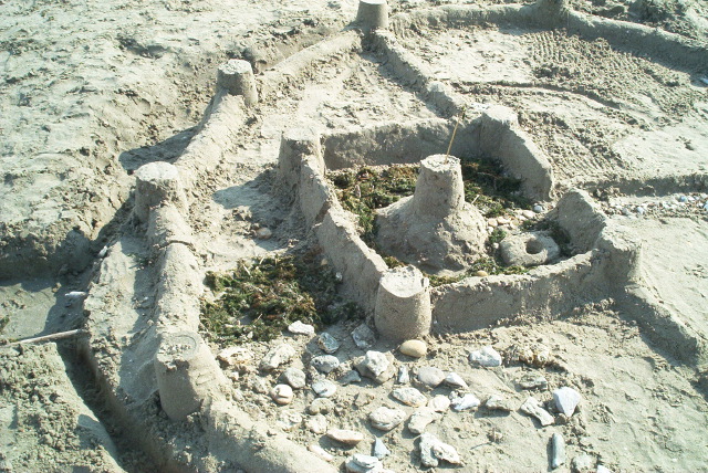 Roll 29 - 40