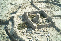 Roll 29 - 40
