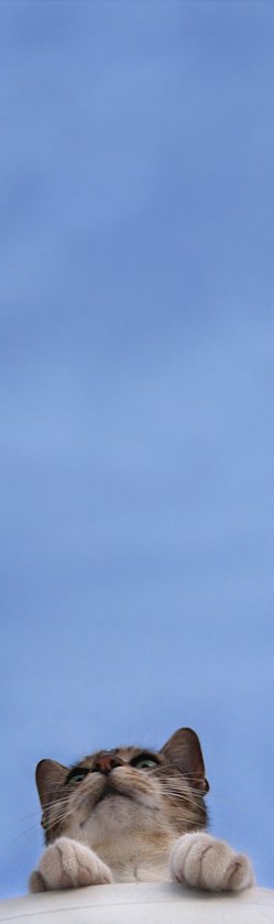 Big Blue Sky