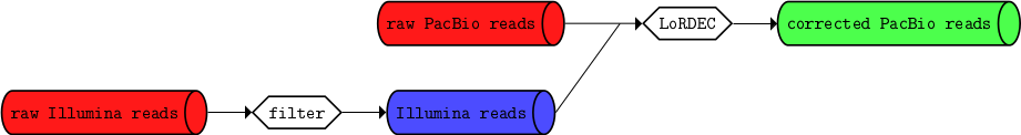 "Simple pipeline for using LoRDEC"