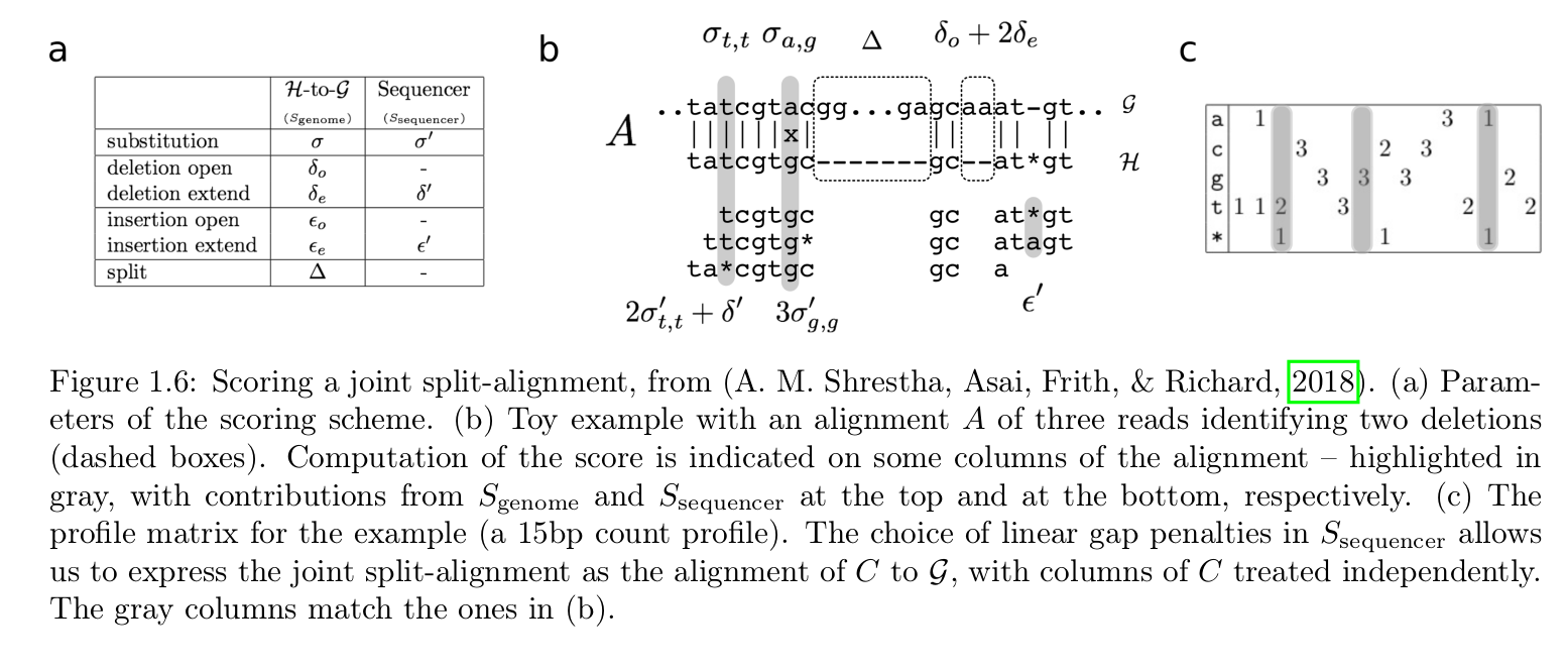 Fig 1.6 from H. Richard habilitation manuscript: it illustrates a method to score a split-alignment of a read.