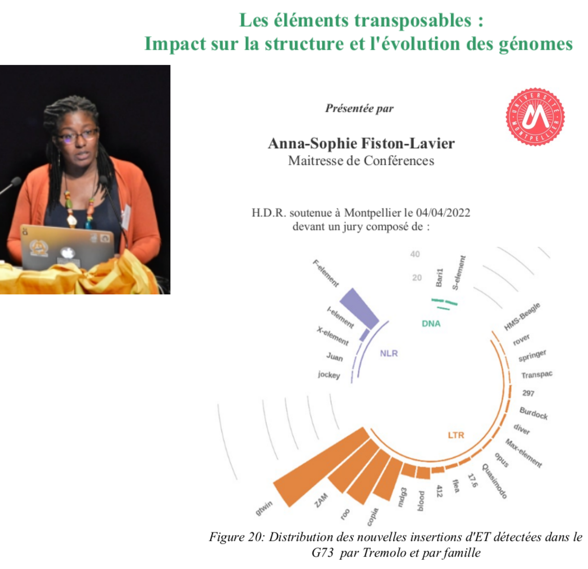 Composed image including the front matter of Dr Fiston manuscript, a photo of her, a figure from this manuscript about the distribution of TE insertions into subfamilies