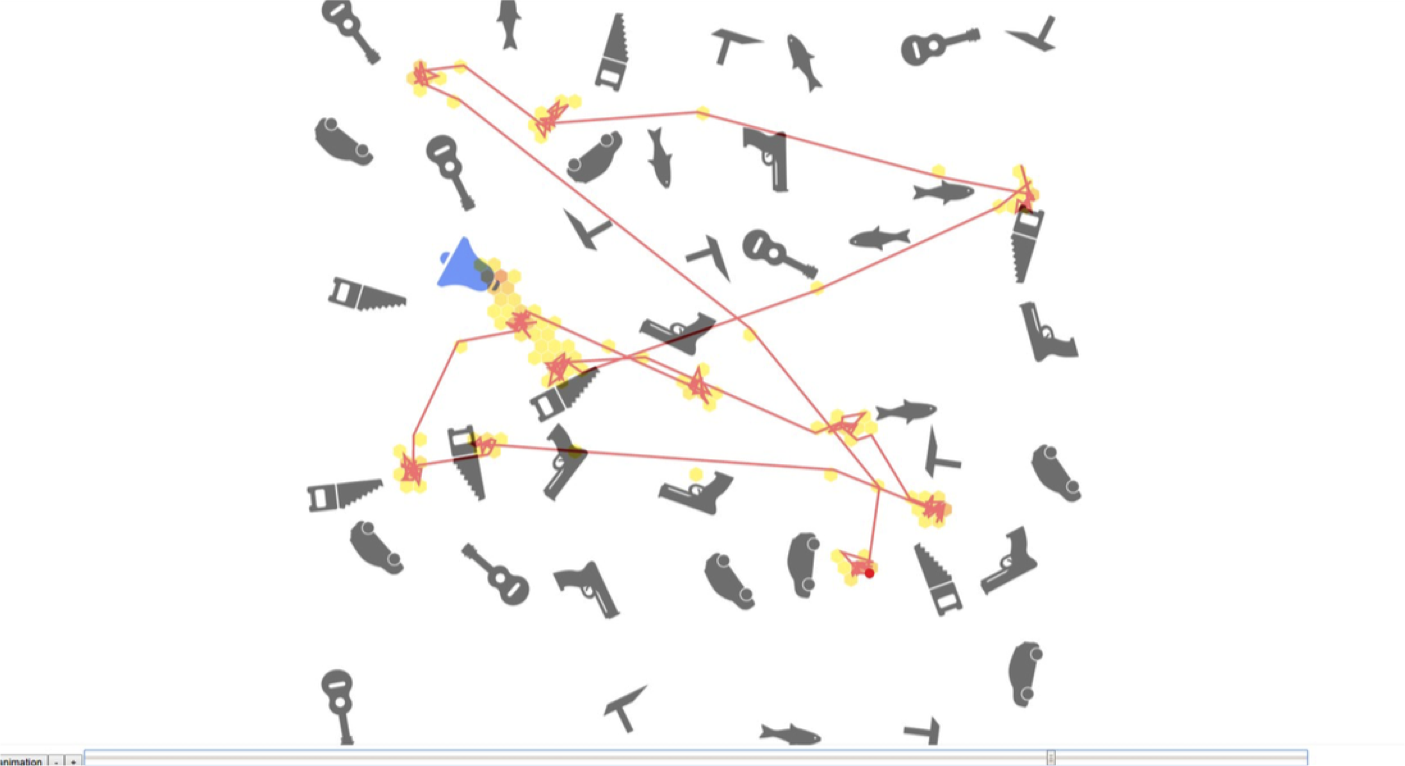 eye-tracking map